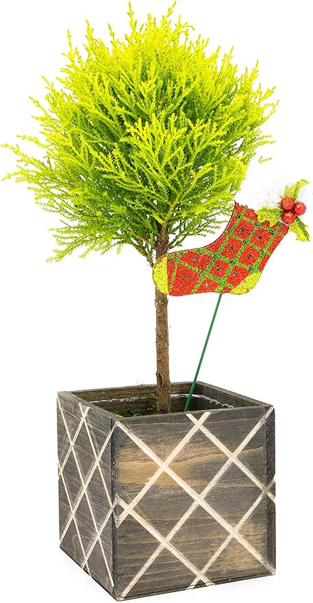 Wood Planter Box with Diamond Cross Hatch Style, 5 Inch Square, Rustic Barn Wood, Plastic Liner, Wedding Flowers Holder, Home and Venue Decor (5x5 Diamond Cross Hatch Set of 4, Natural)