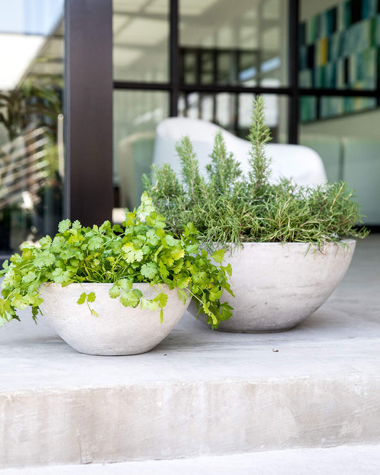 Gardenuity Resin Flower Pots and Garden Planters - Natural Concrete Stone Look, Indoor Plant Pots or Outdoor Planter, Very Light, Large & Small (Large)