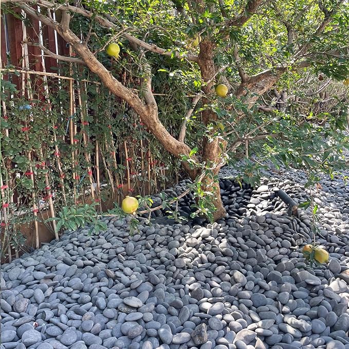 FANTIAN 20 lbs Natural Unpolished Black Rocks Mexican Beach Pebbles, 2-3 Inch Decorative Black River Rocks for Outdoor Landscaping, Garden Paving, Plant Rocks, Fountain and Walkways