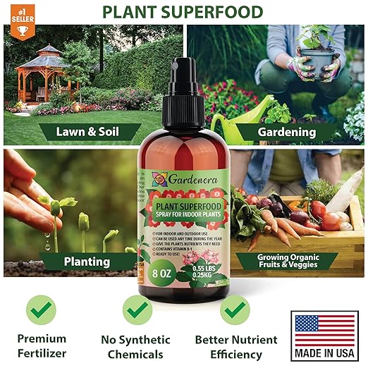 𝐁?𝐒𝐓𝐒𝐄𝐋𝐋𝐄𝐑 Plant Superfood for ALOCASIA Plants with B1 Vitamin, Glucose and Essential Minerals - Organic Plant Food Fertilizer for Indoor & Outdoor ALOCASIA Plant Care - 8oz