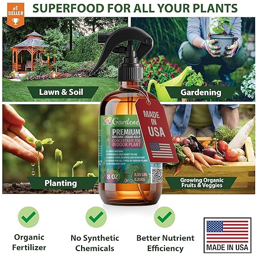 GARDENERA Professional Organic Liquid Kelp Spray for Monstera Plants - 8 oz - Ready-to-Use Fully Organic Seaweed & Kelp Fertilizer Mist