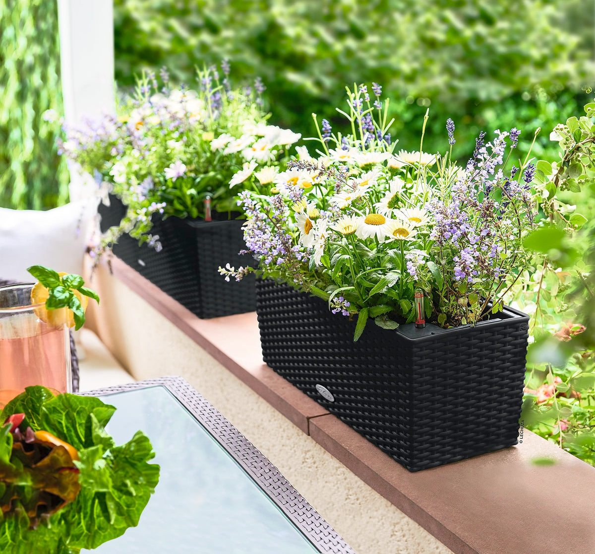 Lechuza BALCONERA Cottage 50 Graphite Black, Self-Watering Window Box (Railing Planter), H7.5 L19.7 W7.5 in