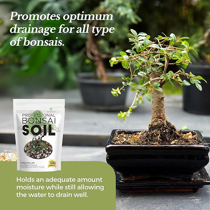 Large Bonsai Soil Premium All Purpose Blend | Pre-Mixed Ready to Use for Plant Support and Fast Drainage | Lava, Limestone Pearock, Calcined Clay and Pinebark | Extra Large 8.2 Quarts | Made in USA