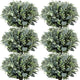Janinka Mixed Eucalyptus Stems, Artificial Greenery White Seeds, 40