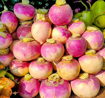 Turnip Seeds for Planting – 200 Non GMO Heirloom Purple Top Turnip Seeds – Full Planting Instructions to Plant Home Outdoor Vegetable Garden – Great Gardening Gift, 1 Packet