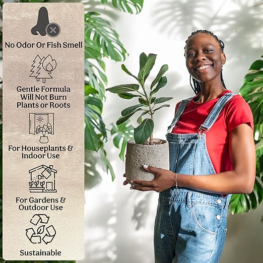Grow Queen Organic Plant Food, Indoor Plant Food for Houseplants & Aroids, Organic Fertilizer for Flower & Vegetable Gardens, 1lb = 25 Servings, Feeds 50 gal Instantly and Slow Release