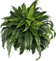 NeosCA Giant Artificial Boston Ferns for Outdoors Large UV Resistant Lifelike Faux Fern, Realistic Silk Greenery Plants Large for Patio, Office, Home Decor, 88 Branches, 48 in Fake Fern Natural Green
