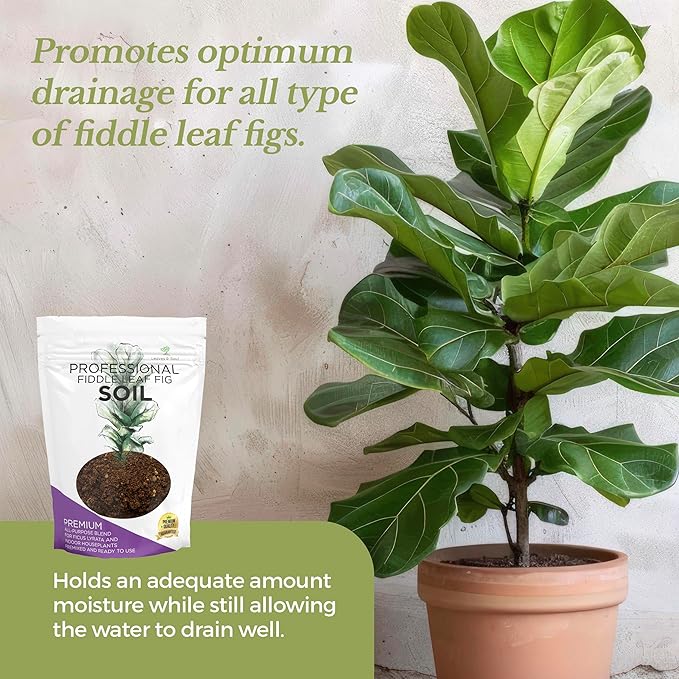 Large Bag Houseplant Fiddle Leaf Fig Soil Premium All Purpose Blend | Ready to Use for Indoor Houseplants | Peat, Sawdust, Course Sand and Pinebark | Extra Large 8.2 Quarts | Made in USA