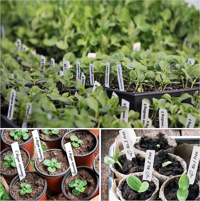 Plant Labels 4 Inch 300Pcs Plastic Plant Name Tags for Seedlings Garden Labels Markers Nursery Plant Tags Seed Labels Plant Label Stakes with Permanet Marking Pen Plant Markers for Outdoor Garden
