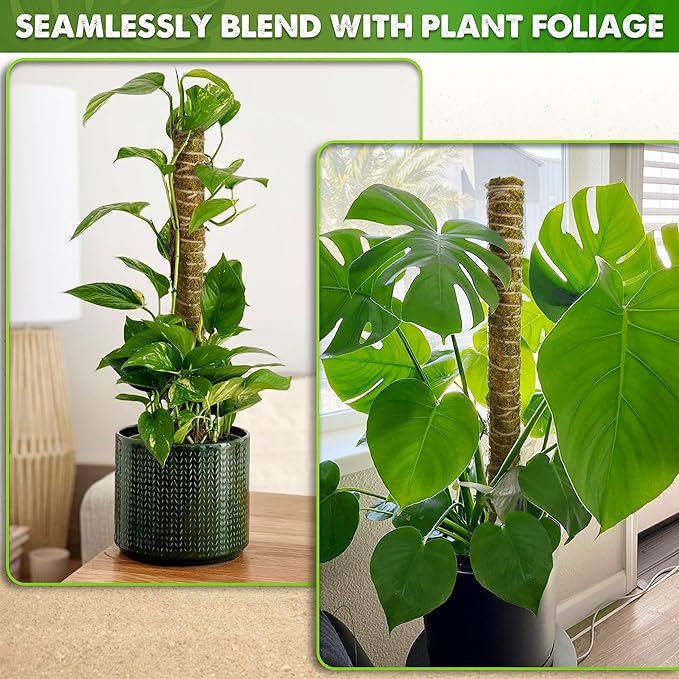 DUSPRO Natural Stackable Moss Pole for Plants Monstera Potted Plant Stakes for Indoor Plants Extendable Plant Pole Moss Sticks for Plants Climbing Vine Supporting Monstera Trellis 4Pcs 22''
