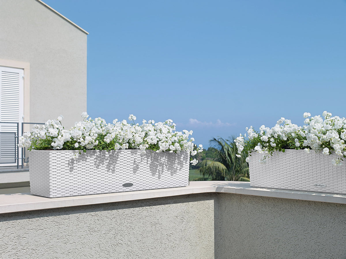 Lechuza BALCONERA Cottage 80 White, Self-Watering Window Box (Railing Planter), H7.5 L31.5 W7.5 in