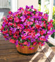 Artificial Fake Flowers for Outdoors Bougainvillea Spring Summer Outside Decor, 4 Bundles Realistic Silk Flower Plants UV Resistant Faux Flowers for Outdoor Planters Patio Porch Window Garden Home