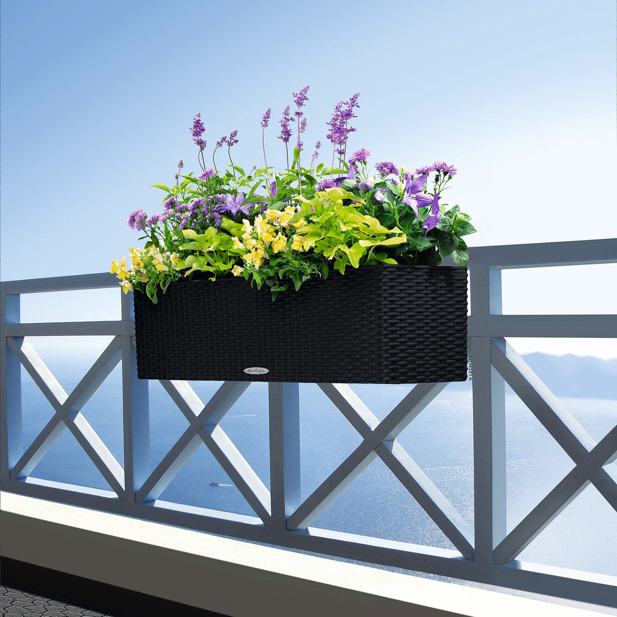 LECHUZA 15619 Balconera Cottage 80 Self-Watering Planter, Graphite Black