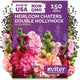 KVITER 150 Chaters Hollyhock Seeds for Planting (Alcea rosea) - Heirloom | Tall Blooms | Pollinator Magnet - Double Hollyhocks Flower Seeds to Plant Outside in Garden, Cottage Borders, Containers