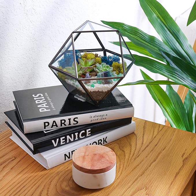 Creations by Nathalie DIY 7" Geometric Terrarium Kit with Live Plants - Build Your Own Glass Terrarium for Adults & Kids with Moss, Crystals, Tools & Decor - Mini Ecosystem - Handcrafted in The USA