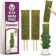 DUSPRO Flat Mesh Moss Poles for Climbing Plants Monstera Stackable Moss Pole for Plants with Real Moss Moss Plant Pole for Potted Plants Handmade Moss Stick for Indoor Plants Grow Upward 2 Pack 22”