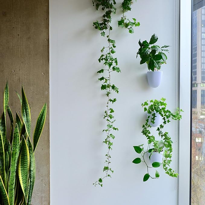 Make Good PlantPod Luxe Self-Watering Wall Planters (Set of 3) - Easy to Water and Install - Lightweight - Design Your Own Vertical Garden - Wall Planters for Indoor Plants