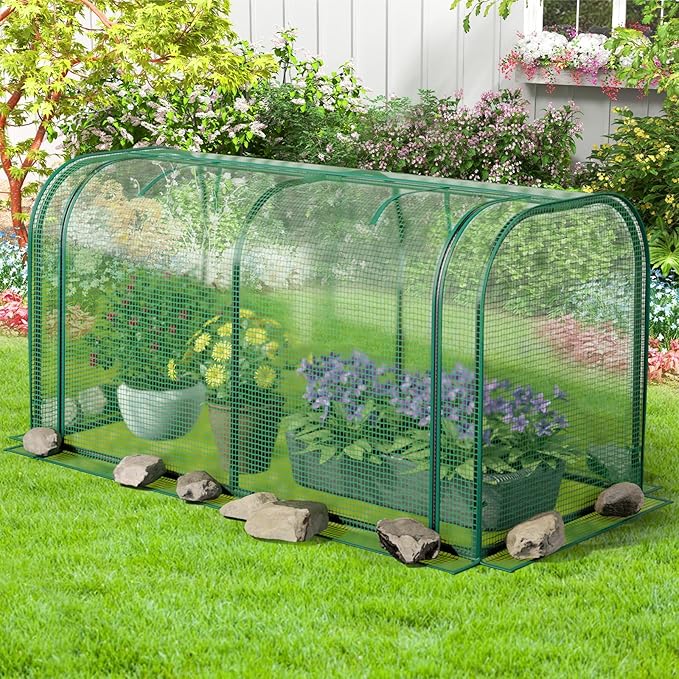 Toolsempire Raised Garden Bed with Greenhouse, Waterproof Sun-Protective Green House with Roll-Up Door & Electroplated Metal Frame, Fir Wood Elevated Planter Box with Drainage Holes(Green+Natural)