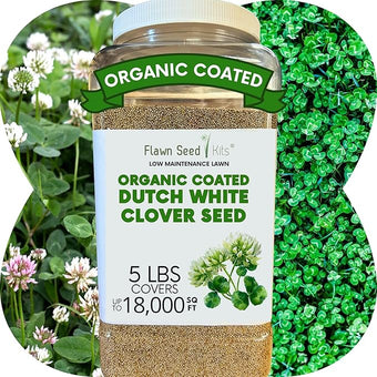 Flawn Seed Dutch White Clover Seed, 5 Lbs, Organic Coated, Natural Lawn, Ground Cover, Food Plot, Zones 3-9, Covers up to 18,000 Sqft