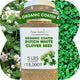 Flawn Seed Dutch White Clover Seed, 5 Lbs, Organic Coated, Natural Lawn, Ground Cover, Food Plot, Zones 3-9, Covers up to 18,000 Sqft