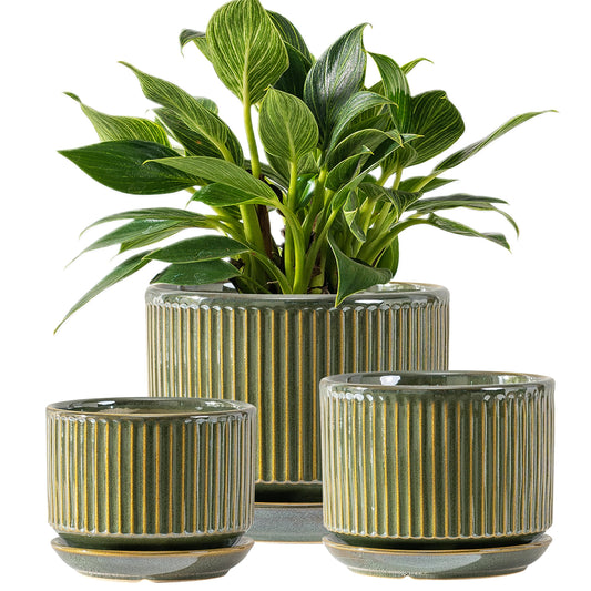 SURE YUESI Ceramic Plant Flower Pots for Indoor Plant, 4.33"+5.5"+6.88", Set of 3, Orchid Pot with Drainage Hole, Saucer and Hole Mesh Pad for Succulents, Herbs and African Violet (Light Green)