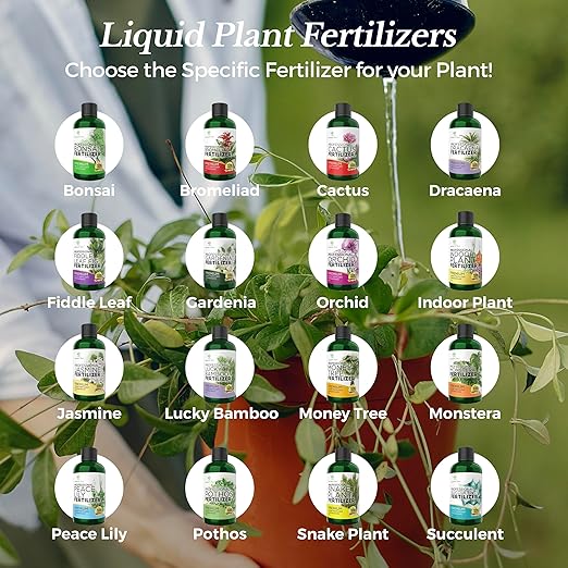 Professional Monstera Plant Fertilizer | 3-1-2 Concentrate for Plants and Flowers | Multi-Purpose Blend & Gardening Supplies | 8 oz Bottle