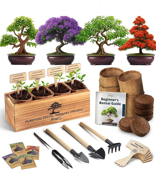 Avergo Bonsai Tree Kit – 4X Unique Japanese Bonzai Trees | Complete Indoor Starter Kit for Growing Bonsai Plants with Tools & Planters – Gardening Gifts for Women & Men