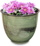Headwind Glazed Ironstone Hamilton Collection Decorative Plant Pot – 14" Evergreen Pot – Lightweight & Durable with Drainage Flower Pots for Indoor Plants & Outdoor Planter Use by Robert Allen