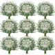 Serwalin 300PCS Mixed Eucalyptus Stems with Baby's Breath Greenery