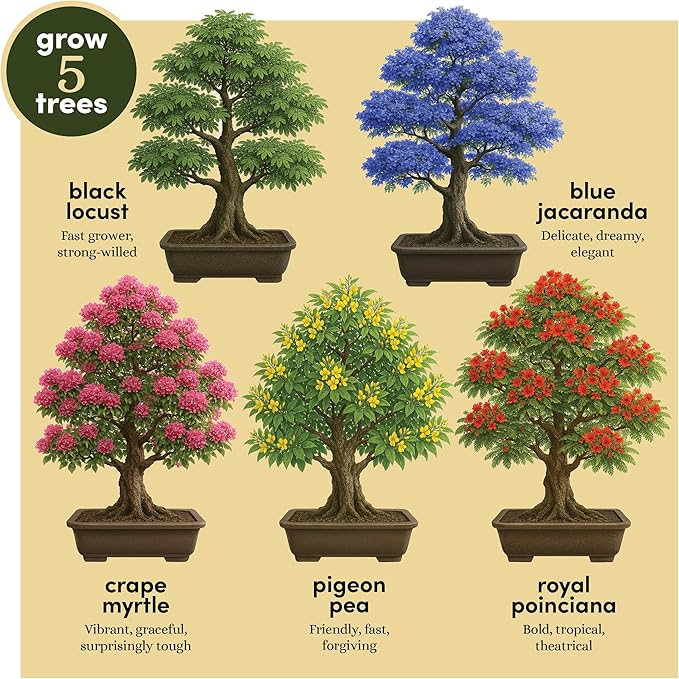 Planter's Choice Bonsai Tree Starter Kit - Unique Gifts for Women, Men - Birthday Gifts for Adults - Indoor Live House Plants - DIY Crafts for Adults Craft Kits - Hobby Gift for Gardening Lovers
