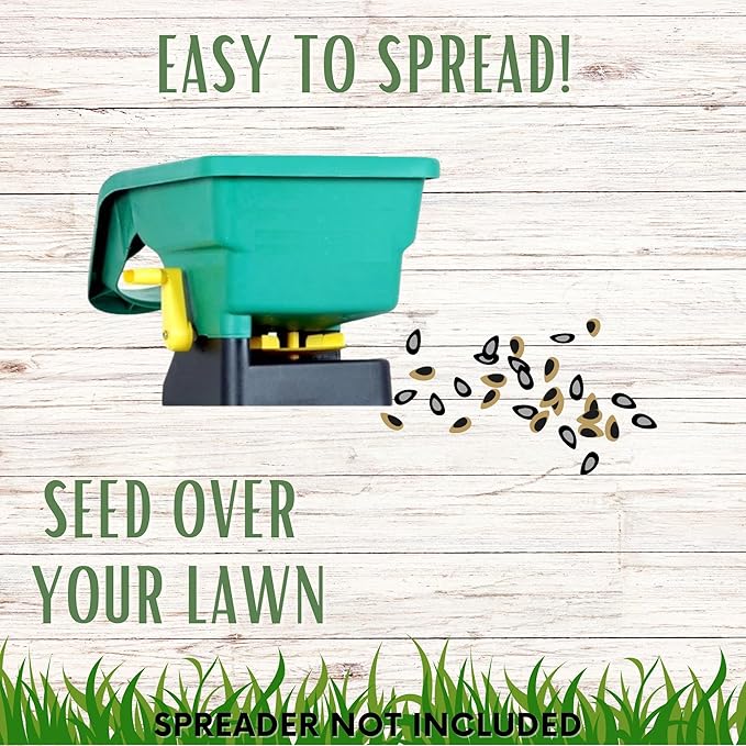 Flawn Seed Kits Dutch White Clover Seeds Organic Coated, 11 Lbs, Natural Lawn, Ground Cover, Hunting Food Plot, Covers up to 40,000 Sqft