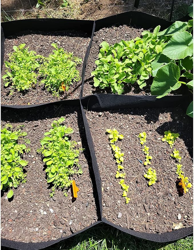CJGQ Fabric Raised Garden Bed 6x3x1ft Garden Grow Bed Bags for Growing Herbs, Flowers and Vegetables 128 Gallon