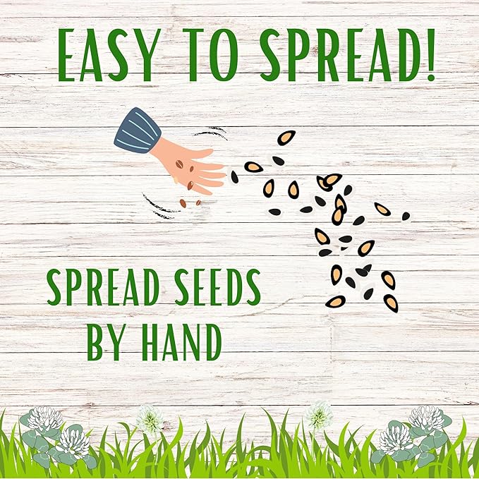 Flawn Seed Kits White Dutch Clover Seed, 1 Lb, Organic Coated, Natural Lawn, Ground Cover, Hunting Food Plot, Covers up to 3,600 Sqft