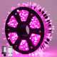 JMEXSUSS 600 LED Pink Christmas String Lights Indoor Outdoor Plug in
