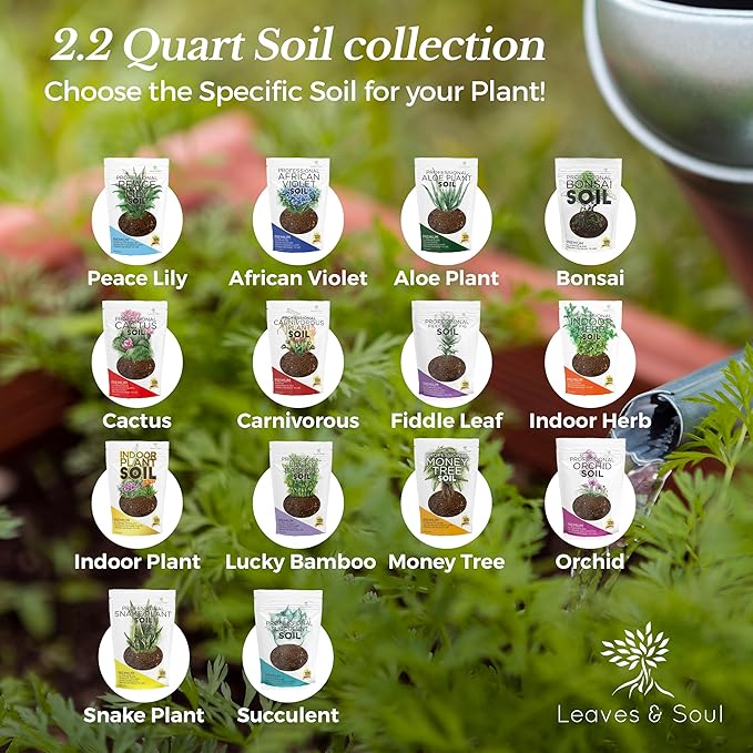 Indoor Plant Soil Premium All Purpose Blend | Large 2.2 Quarts | Ready to Use for Indoor Container and Houseplants | Peat, Coco Coir, Perlite, Dolomite | Made in USA