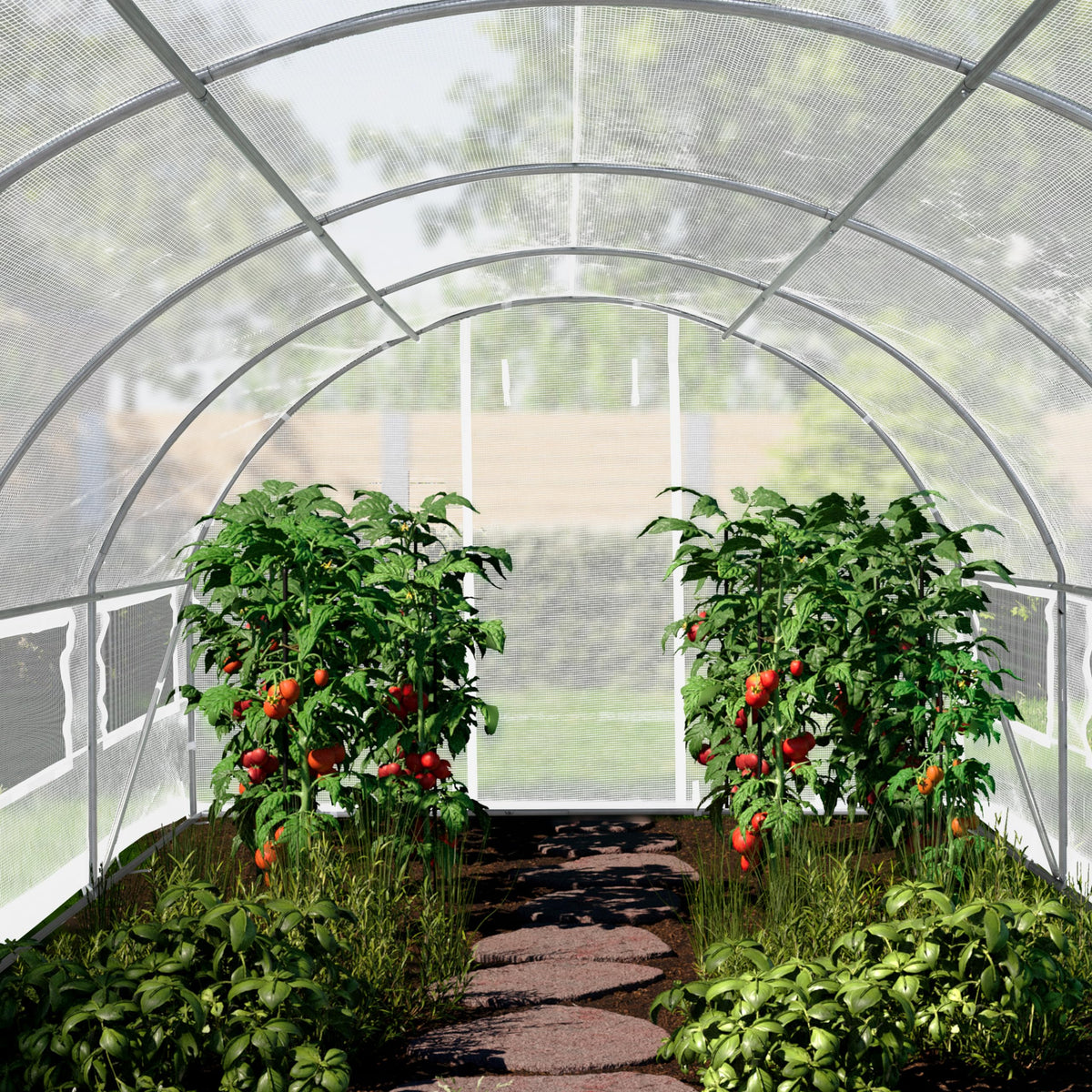 TOOLPORT 10x20 ft Tunnel Greenhouse, 180g PE Cover, White