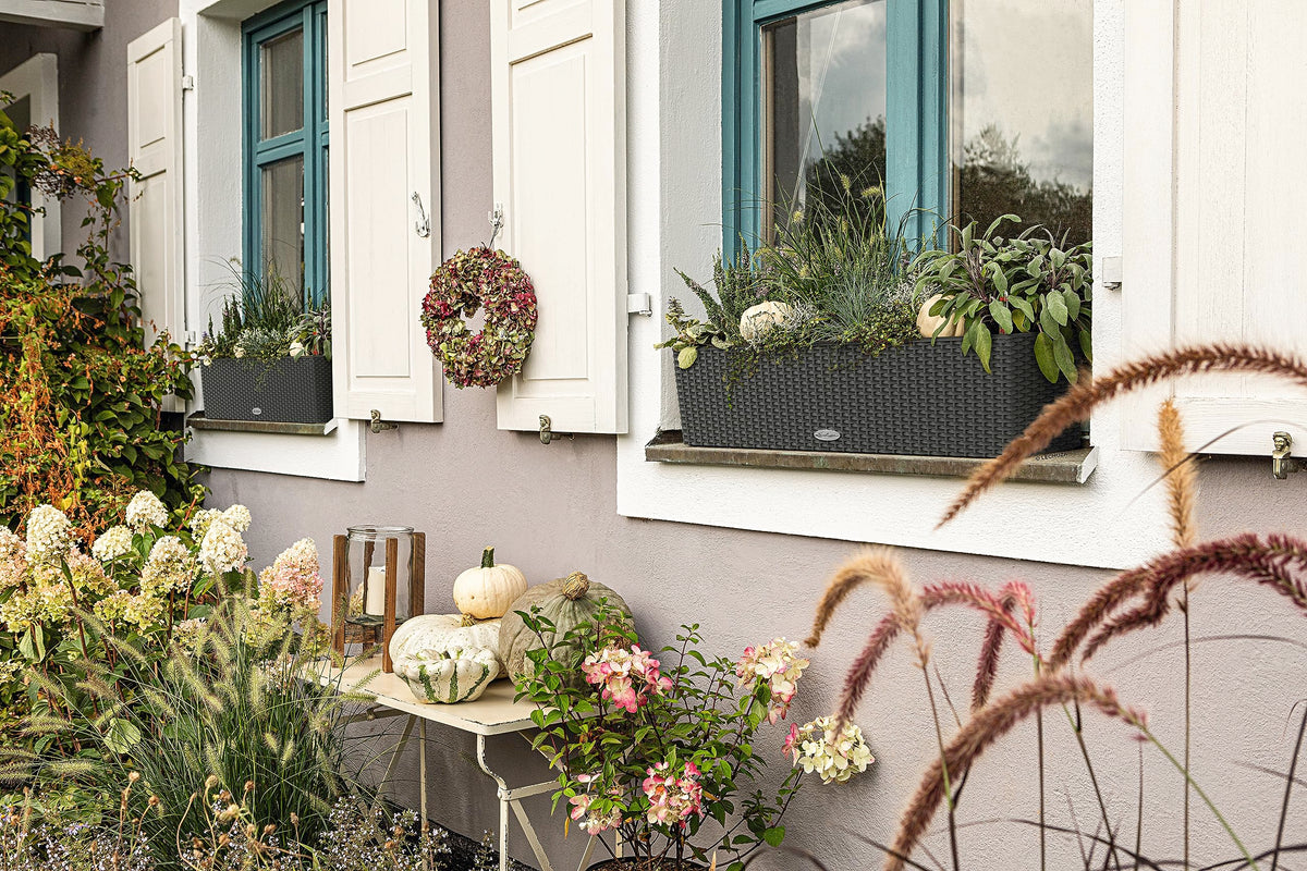 Lechuza Balconera Cottage 80 - All-In-One, Granite, 32"