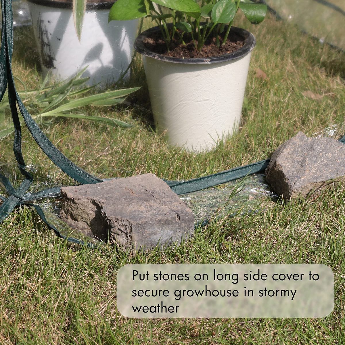 Gardzen 2 Pack 27"x27"x31" Pop Up Grow Tent