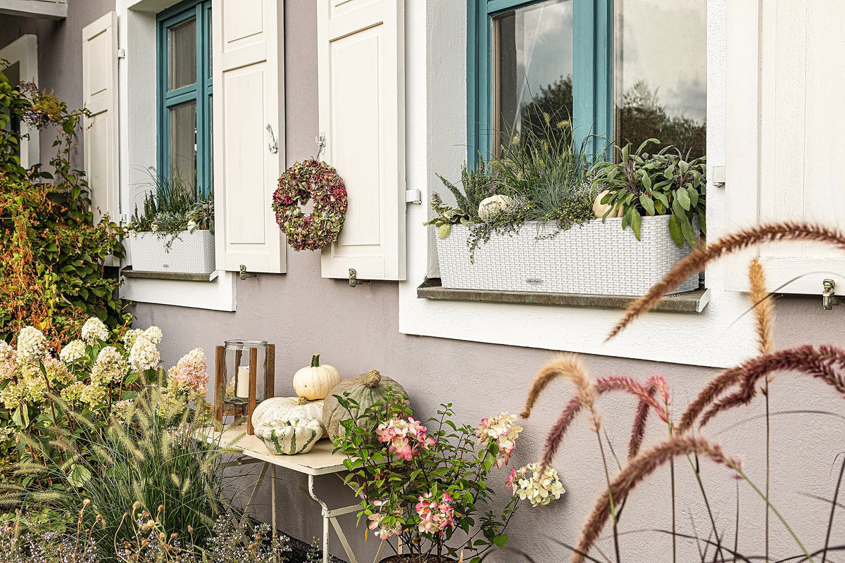 Lechuza BALCONERA Cottage 80 White, Self-Watering Window Box (Railing Planter), H7.5 L31.5 W7.5 in