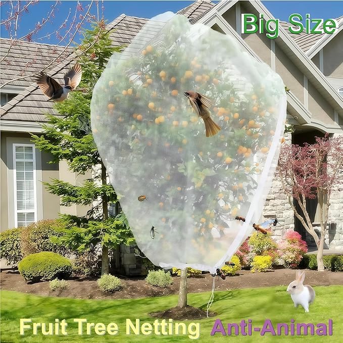 Fruit Tree Netting with Drawstring & Zipper - 3 Pack 6x7.2 FT - Reusable Plant Protection Bag, Heavy Duty PE Mesh Cover for Blueberry Bushes - Blocks Birds/Deer/Squirrels
